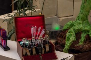 Les-Fées-de-La-Forêt-de-Pluvy-Mars-2019 (4)-min